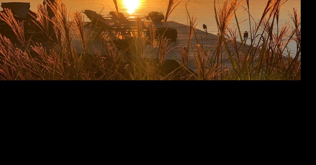 Shared by Carol Light, Penhook