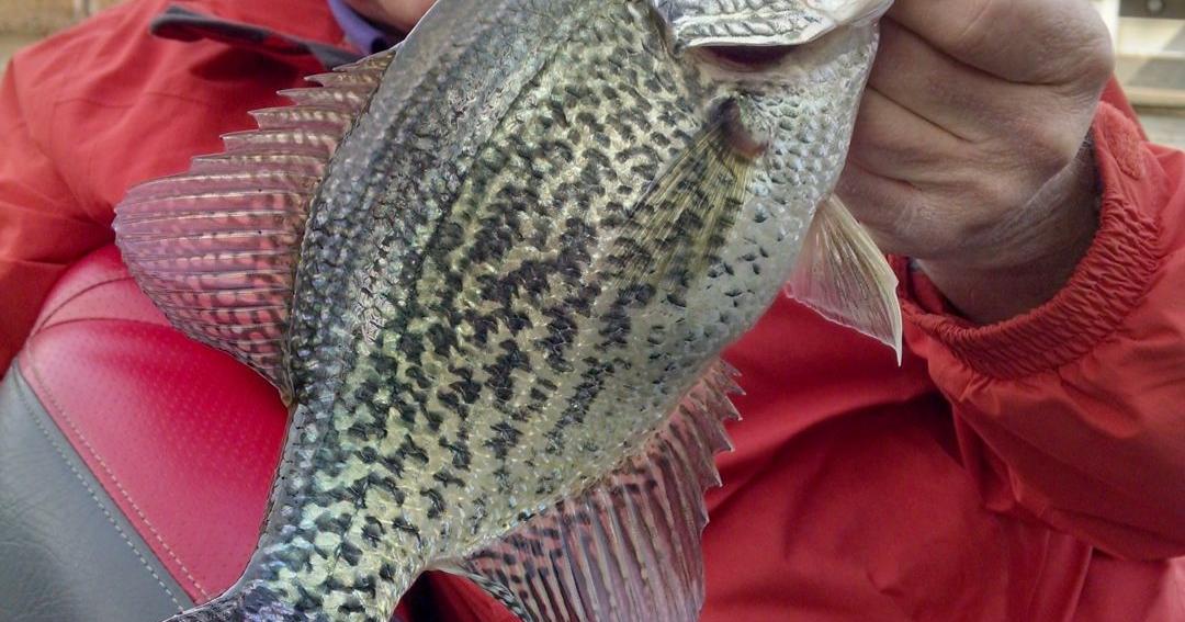 April fishing report