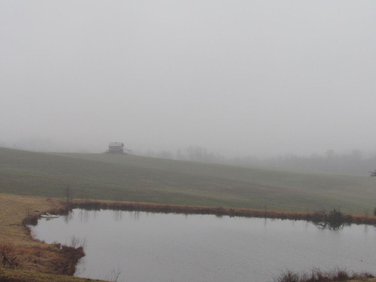 Shared by Jason Dunovant, Glade Hill