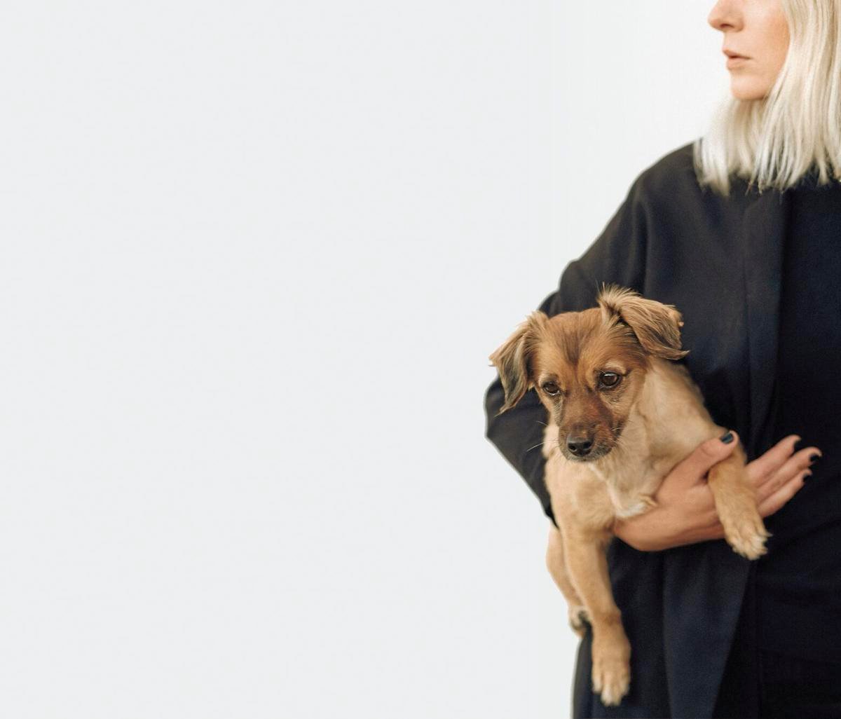 Pets - health