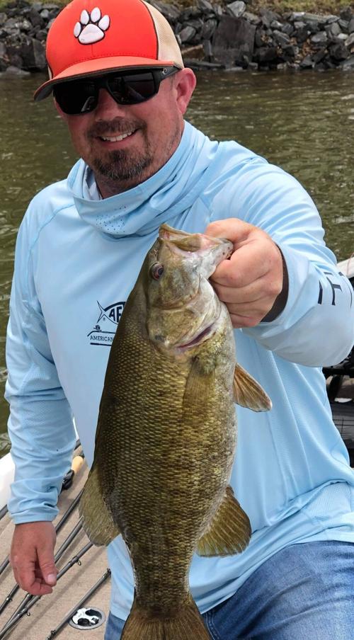 Todd Davis