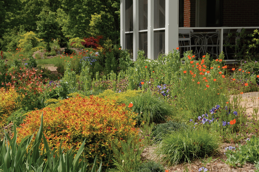 Practice color theory in the garden