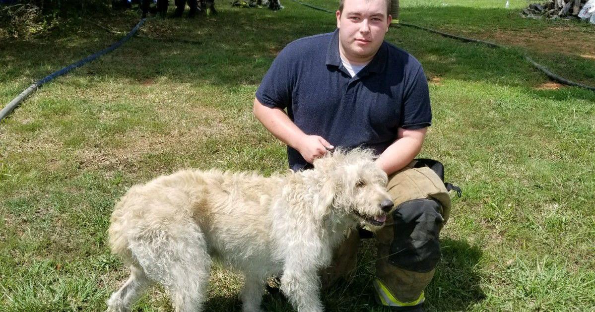Firefighters rescue dog from burning building