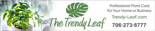 Email - Trendy Leaf 600 x 120 newsletter-bottom1