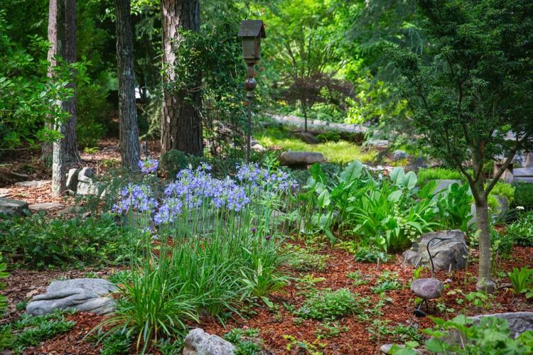 Wildflower Bunch Garden Club Gardening