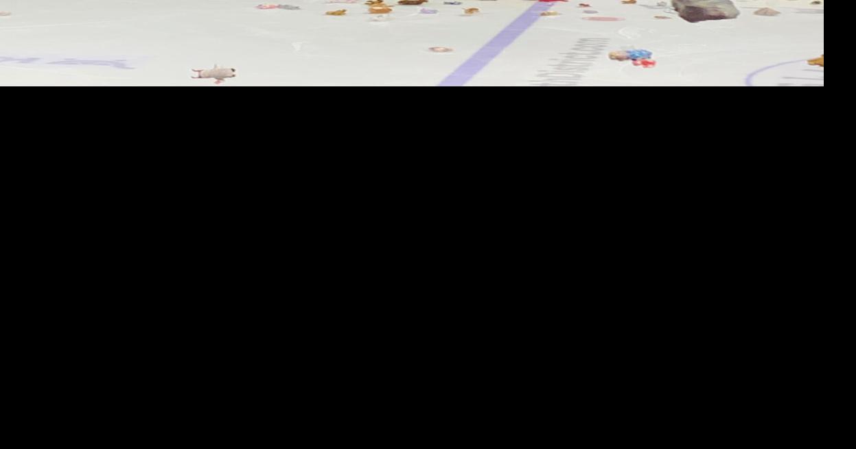 ‘Teddy Bear Toss’ night ends in defeat for ECHL’s Gladiators Sports