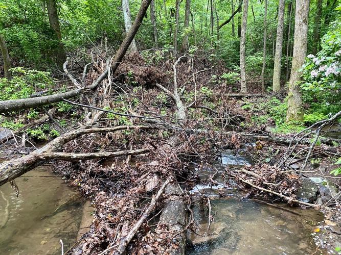 Trails Committee: Confluence Point restored to natural beauty | Archive ...