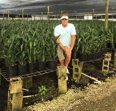 Local Nursery Awarded License News Southdadenewsleader Keith St Germain At His Nursery Operation In Homestead