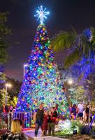 homestead christmas