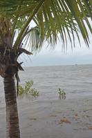 New Storm Surge Warnings To Be Introduced