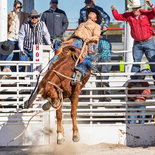 26Rodeo-9.jpg
