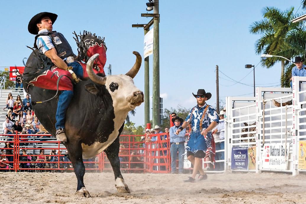 Homestead Rodeo Brings In The Bucks Homestead