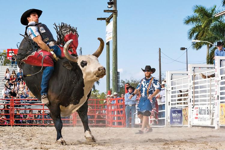 Homestead Rodeo Weekend | News | southdadenewsleader.com