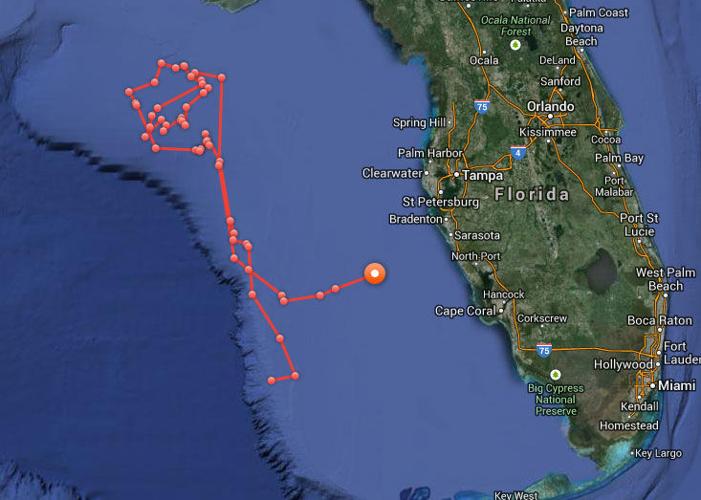 Katharine's location as of July 6th, 2014