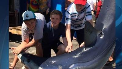 692 pound mako shark