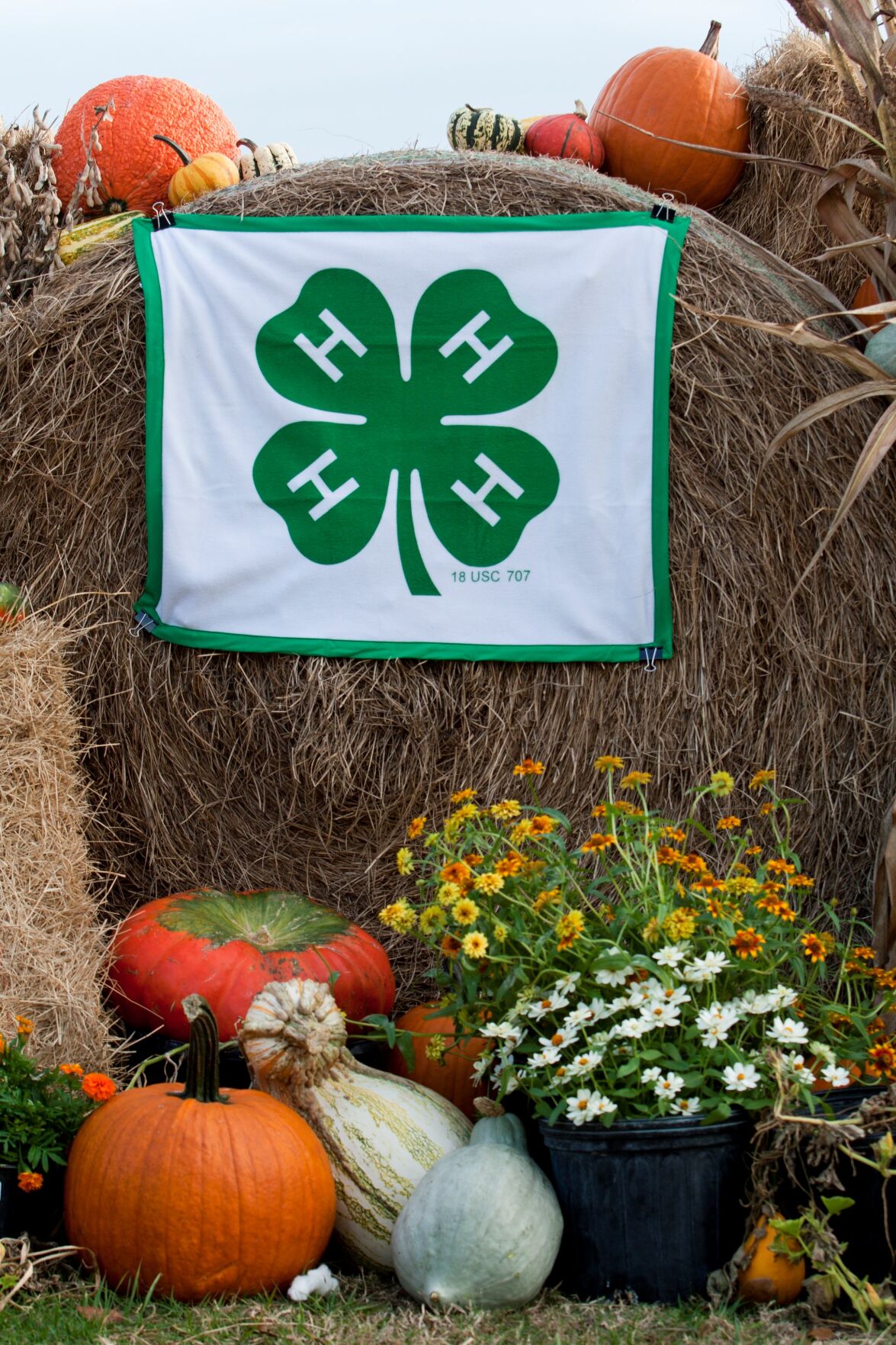 National 4H Week Giving youth the chance to grow, learn and lead