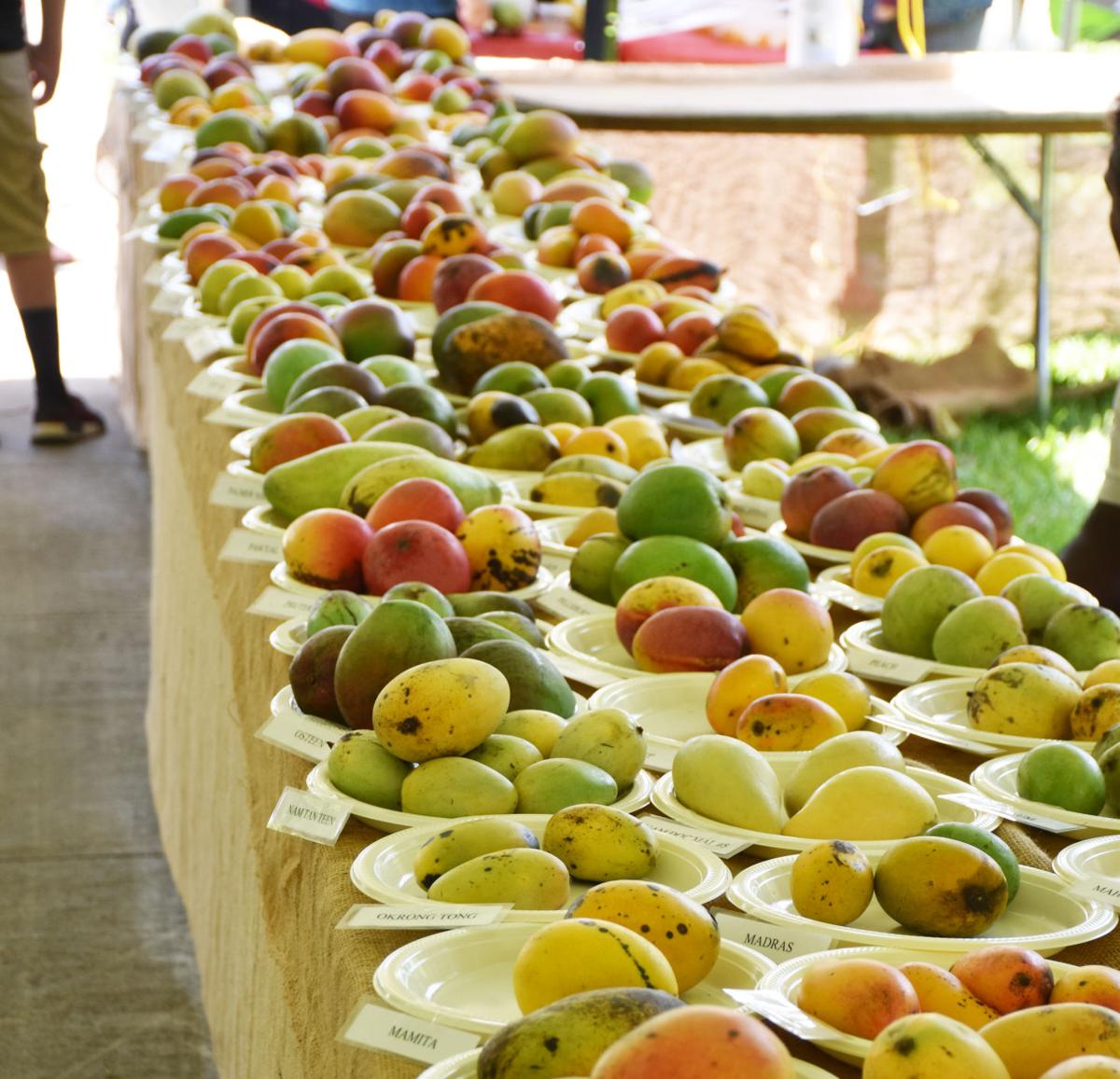 Redland Summer Fruit Festival at the Fruit and Spice Park Lifestyle