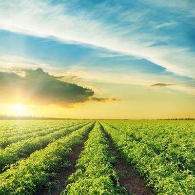 Farming is significant throughout South Dade