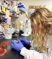 UF researchers test novel way to vaccinate against salmonella