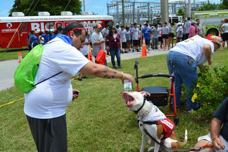 2016 VFW Post 4127 Freedom Walk