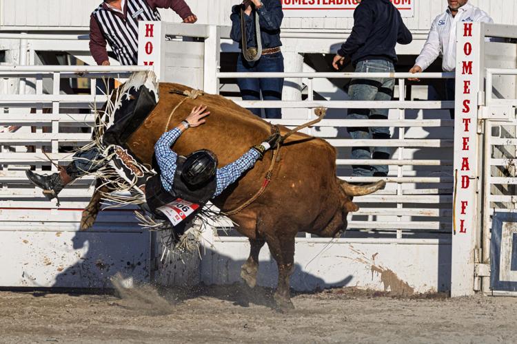 26Rodeo-21.jpg
