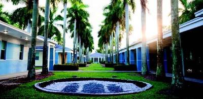 Chapman Partnership
