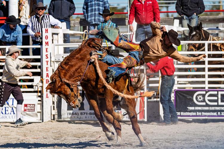26Rodeo-10.jpg