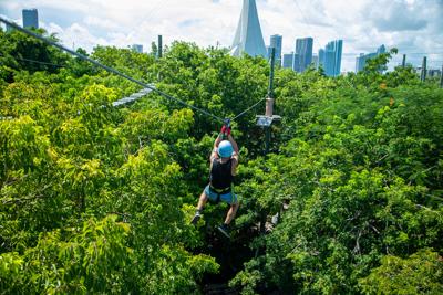An adventurer flies over the treetops, soaring into the Miami skyline.