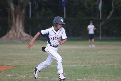 Palmer Trinity Baseball