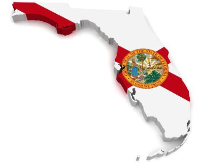 Florida Ballot initiatives