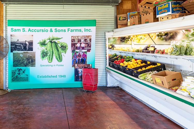 Boxed quantities can also be purchased through Sam Accursio’s Farms.