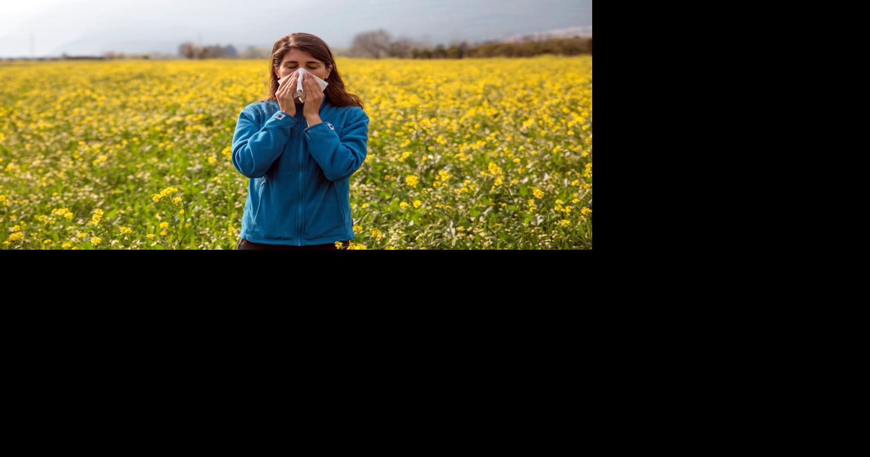 Fall Allergies are Here - Top 5 Tips to Prevent Allergens in the Home ...