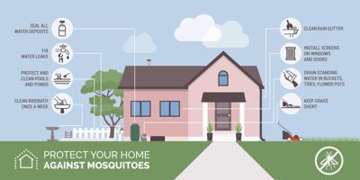 Mosquito bite prevention