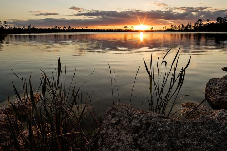 Pine Glades Lake Sunset ENP