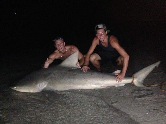 Catching sharks off Siesta Key, State