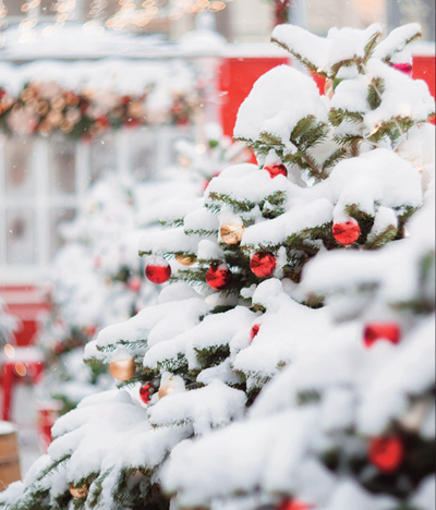 Winter Wonderland Is Coming to Homestead