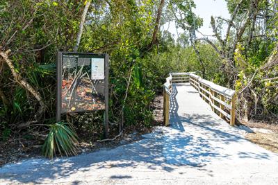 Entry way to the newly rebuilt and improved West Lake Trail that allows visitors to walk through the mangrove forest to the lake.