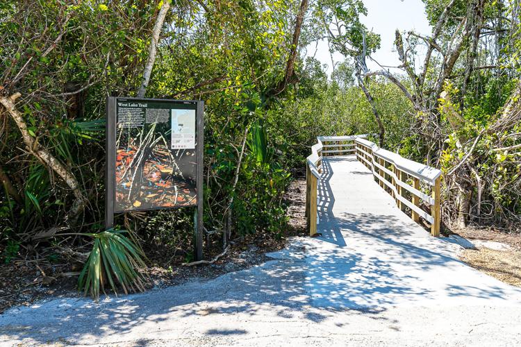 Entry way to the newly rebuilt and improved West Lake Trail that allows visitors to walk through the mangrove forest to the lake.