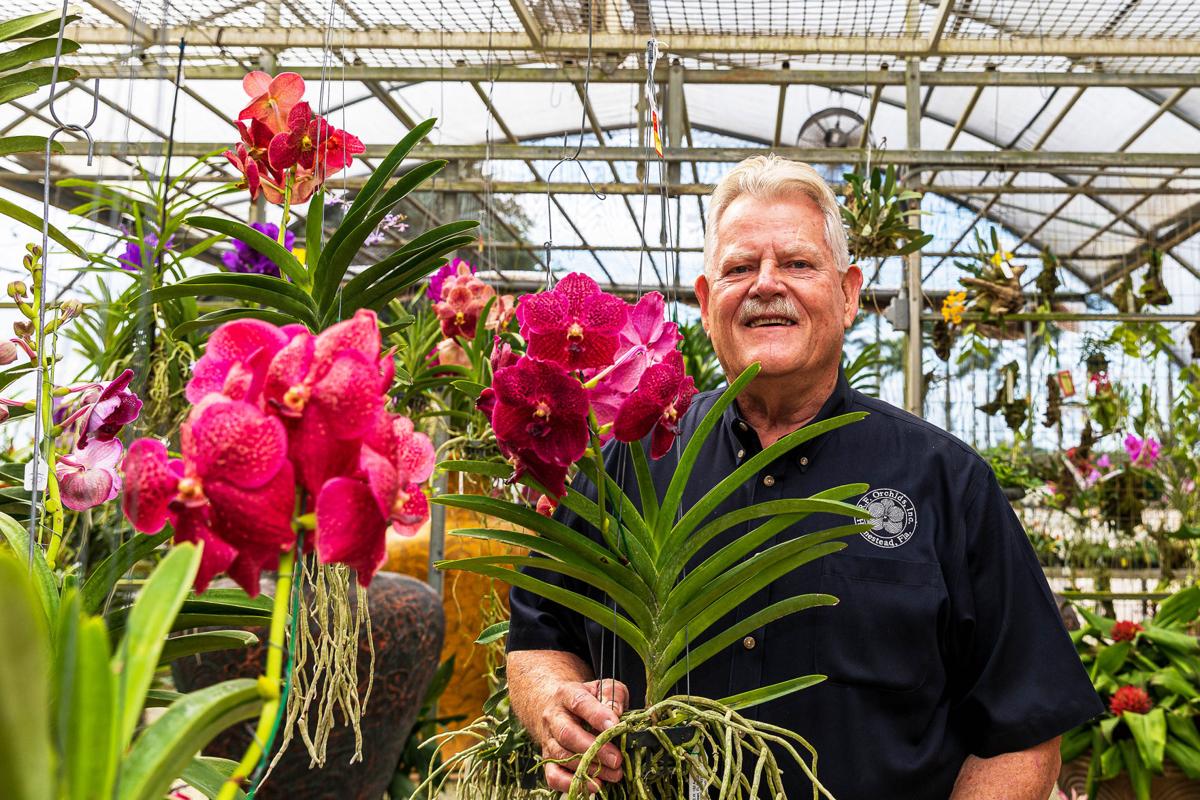 Rf Orchids Turns Fifty News Southdadenewsleader Com