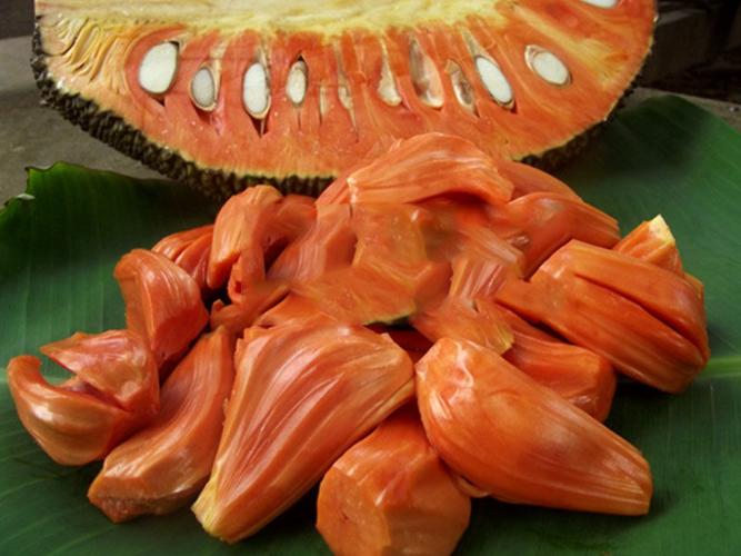 Boreno red jackfruit