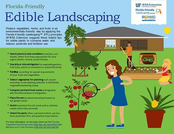 Want To Grow Your Own Vegetable Garden New Guide Helps Estimate Costs Savings News Southdadenewsleader Com