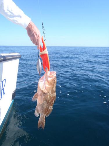 New Federal Atlantic Fishing Regulations: Descending Device Required  On-Board, Sports