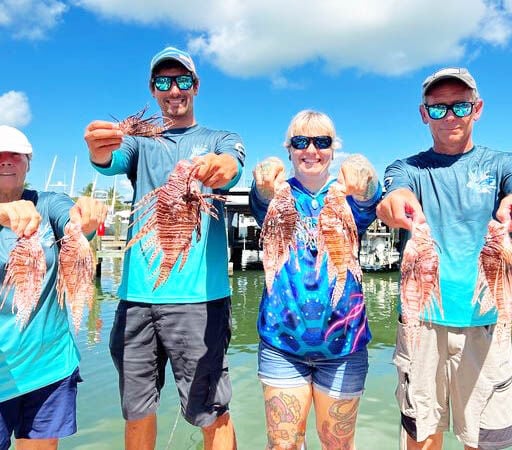 Loads of Lionfish at REEF September Derby | Sports ...