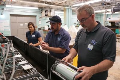Gabriella Dipreta, Dave Veilleux, and Sean Grace collect data with a fluorometer during an ocean acidification experiment.