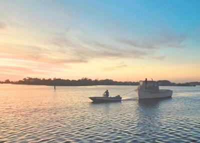 Vessels removed in PascoCounty & PinellasCounty through new MyFWC Vessel Turn-In Program (VTIP).