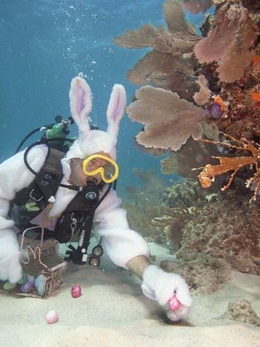 Easter Egg Hunts