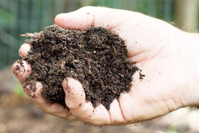 Compost soil