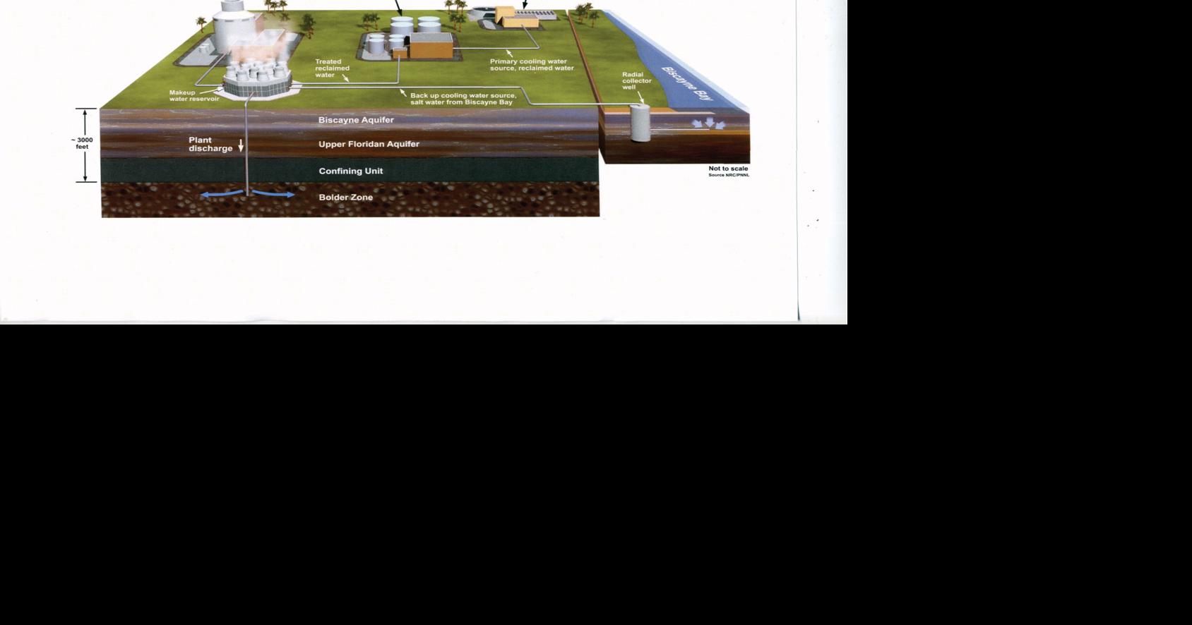 The Economy Versus The Environment: The Debate On Turkey Point Units 6 ...