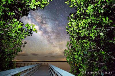An evening in the Everglades - Milky Way West Lake.