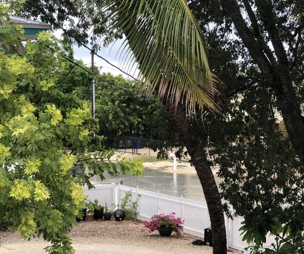 Flooding Key Largo
